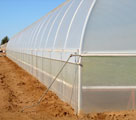 high tunel ventilacion