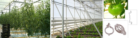 invernadero multicapilla gótico lineas cultivo