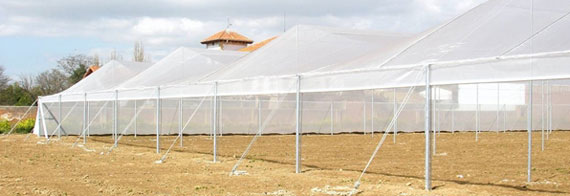 malla sombra tabiques