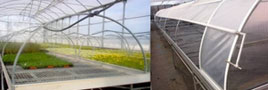 mesas cultivo mini tunel