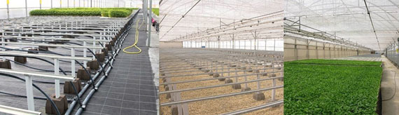 mesas cultivo otros