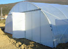 tunel agricola puertas