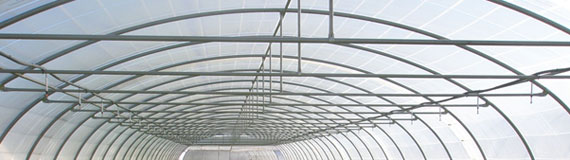 tunel agricola tirantes